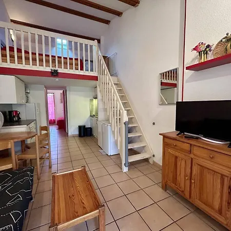 Maison 2 Pieces Mezzanine 6 Couchages St Cyprien Sc430-21b Vila *